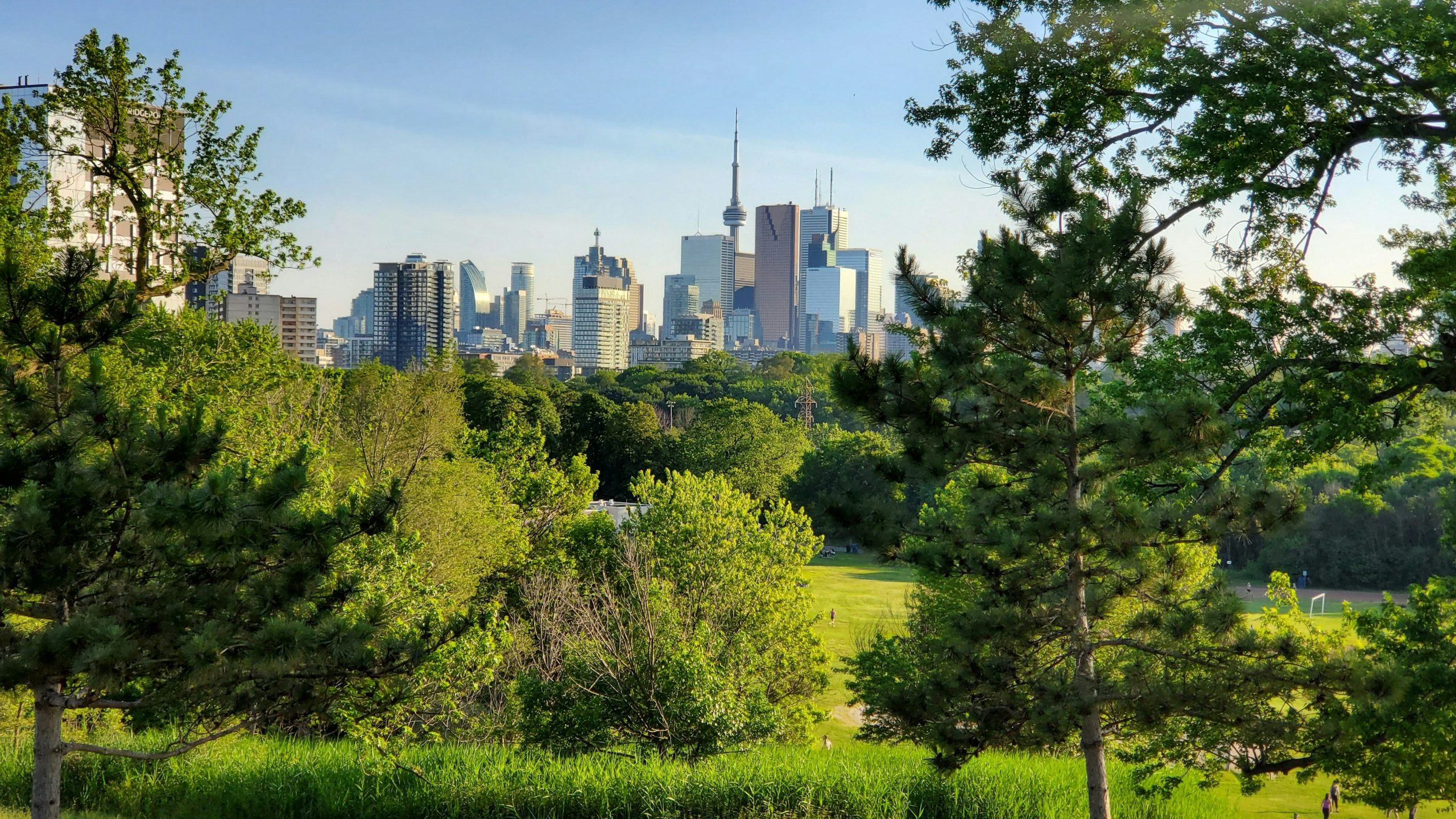 Toronto Danforth